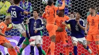 Koeman Sentil Kesombongan Belanda Usai Gagal Menang Atas Jepang