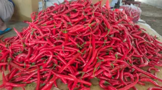 Kondisi Pasar Sepi Harga Aneka Cabai Alami Penurunan di Kediri