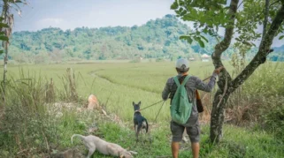 Konten TikTok Sekdes Ungkap Detik-detik Bocah 9 Tahun Tewas Diserang Anjing Pemburu di Jasinga