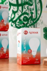 Lampu Hias Ponpes Annur Azzahra Lumajang Jadi Media Belajar Kemandirian Santri