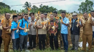 Lebak Dinilai Miliki Potensi Besar untuk Dukung Ketahanan Pangan, KNPI Kelola Lahan Jagung dan Lengkuas