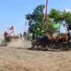 Makepung Kapolda Bali Cup 2026: Ajang Budaya dan Pelayanan Publik Meriahkan Hari Bhayangkara ke-80