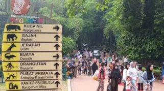 Masuk Ragunan Gratis dengan KTP DKI Jakarta, Ini Jadwal dan Syaratnya