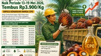 Mentan Amran Minta Harga TBS Sawit Naik Minimal 10 Persen, Ancam Tindak 300 Perusahaan Nakal