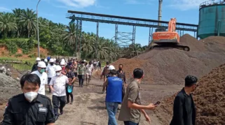 Mentan Amran Murka! 300 Perusahaan Tak Kunjung Naikkan Harga TBS Sawit Bakal Diperiksa