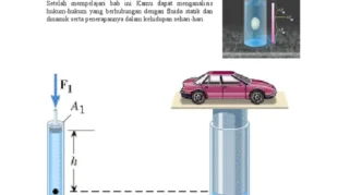 Misteri Kecerdasan Jamur Lendir Tanpa Otak Terungkap: Fisika Fluida di Balik Kemampuan Memecahkan Labirin