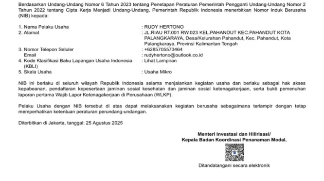 NIB untuk Konten Kreator: Legalitas Usaha atau Beban Baru bagi Ekonomi Digital?