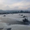 OCB Energi Tersembunyi Tambak Udang: Kunci Keberhasilan Budidaya di Tengah Tantangan Industri