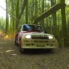 Panduan Menemukan Bambu di Forza Horizon 6 untuk Tantangan Bamboo Bash