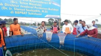 Panen Lele Bioflok Mahasiswa Akuakultur Unesa: Bukti Keberhasilan Pembelajaran Berbasis Proyek