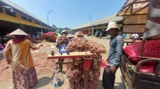 Pasokan Tersendat dan Kendala Bio Solar Picu Kenaikan Harga Bawang Merah di Tabalong