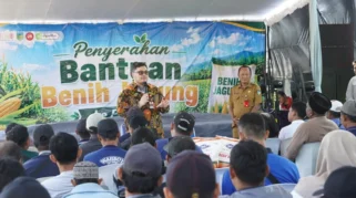 Pemkab Kediri Salurkan 200 Ton Benih Jagung untuk 683 Kelompok Tani