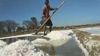 Pemkab Sampang Optimistis Target Produksi Garam 307 Ribu Ton Tercapai Meski Panen Perdana Terkendala Cuaca