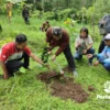 Perhutani dan Polsek Karangreja Kolaborasi Menanam, Pulihkan Lanskap Hutan Serang