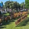 Peringati Hari Keluarga Nasional, Wakil Wali Kota Kediri Ajak ASN Perkuat Peran Keluarga