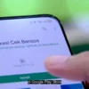 Perlinsos: Aplikasi Digital Pemerintah untuk Pastikan Bansos Tepat Sasaran