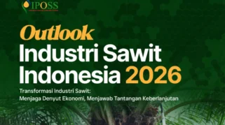 Permendag 16/2026 Berlaku, Kemendag Pastikan Ekspor Sawit Tetap Berjalan Selama Masa Transisi