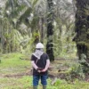 Petani Sawit Kotawaringin Barat Berjuang Bangun Pabrik Sawit, Investasi Capai Rp250 Miliar