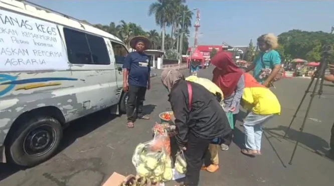 Petani Timun Datangi Kantor Pemkab dan DPRD Jember, Bagikan Dua Kuintal Hasil Panen Gratis