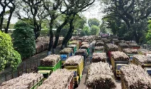 PG Meritjan Resmi Mulai Giling 2026, Target Produksi 2,5 Juta Kuintal Tebu
