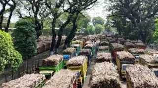 PG Meritjan Resmi Mulai Giling 2026, Target Produksi 2,5 Juta Kuintal Tebu