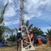 PLN Gunakan 11 Tower Emergency Percepat Pemulihan Listrik di Sumut, TNI AU Kerahkan Hercules