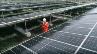 PLN Indonesia Power Bidik Ekspansi Bisnis Energi Bersih di Amerika Latin dan Karibia