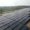 PLN Indonesia Power Bidik Ekspansi Energi di Amerika Latin, Fokus pada Tenaga Surya dan Mini Hidro