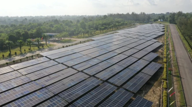 PLN Indonesia Power Bidik Ekspansi Energi di Amerika Latin, Fokus pada Tenaga Surya dan Mini Hidro