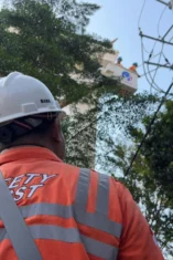 PLN Tambah Daya Listrik Undiksha untuk Optimalkan Laboratorium Pendidikan Terpadu