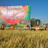 POC Limbah Dapur Terbukti Menaikkan Produksi Padi hingga 9,1 Ton per Hektare