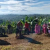 Polres Buleleng Tanam 500 Bibit Kopi dalam Program Green Policing Hari Bhayangkara ke-80