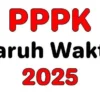 PPPK Paruh Waktu Diperpanjang hingga Tahun Depan, Gaji Setara UMP Jadi Angin Segar bagi Tenaga Honorer