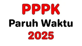 PPPK Paruh Waktu Diperpanjang hingga Tahun Depan, Gaji Setara UMP Jadi Angin Segar bagi Tenaga Honorer