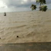 Prakiraan Cuaca Maritim Jawa Timur 25 Juni 2026: Angin Kencang dan Gelombang Tinggi di Perairan Selatan