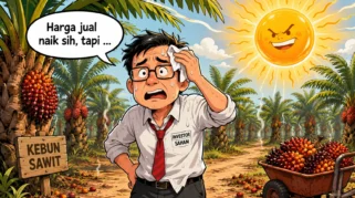 Prospek Saham Minyak Sawit Menjelang B50 dan Badai El Nino: LSIP, DSNG, TBLA Paling Menarik