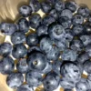 Rahasia Sehat di Balik Blueberry: Manfaat untuk Otak, Jantung, dan Kulit