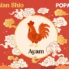 Ramalan Shio Ayam Besok Sabtu 20 Juni 2026: Peluang Promosi Karier dan Keberuntungan Finansial