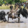 Ritual Kebo-keboan di Banyuwangi: Warga Berlumuran Lumpur dalam Tradisi Syukur Panen