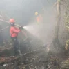 Satgas Karhutla Berhasil Padamkan Tiga Titik Kebakaran di Riau, Masyarakat Diminta Waspada Musim Kemarau