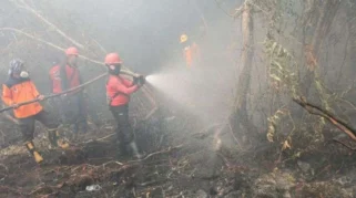 Satgas Karhutla Berhasil Padamkan Tiga Titik Kebakaran di Riau, Masyarakat Diminta Waspada Musim Kemarau