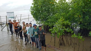 Shopee dan BenihBaik Pulihkan Mangrove Pesisir Jakarta Lewat Program Donasi Digital dan Game Interaktif