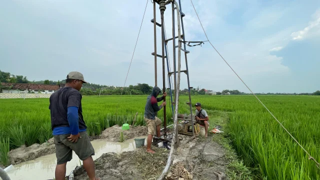 Sri Lanka Imbau Petani Hemat Air Antisipasi Dampak El Nino