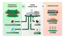 STAA Gabung RSPO, Langkah Ekspansi ke Pasar Sawit Berkelanjutan