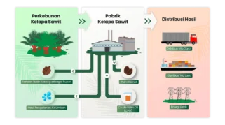 STAA Gabung RSPO, Langkah Ekspansi ke Pasar Sawit Berkelanjutan