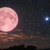 Strawberry Moon 2026: Waktu Terbaik dan Cara Melihat Bulan Purnama Juni