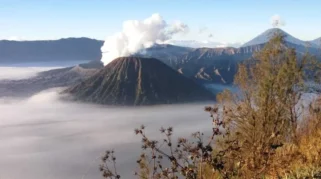 Suhu Bromo Capai 4 Derajat Celsius, BMKG Sebut Bediding Memuncak Agustus