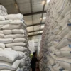 Tambah Gudang Penyimpanan, Serapan Gabah di Tulungagung Capai 57 Ribu Ton