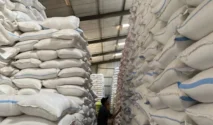 Tambah Gudang Penyimpanan, Serapan Gabah di Tulungagung Capai 57 Ribu Ton