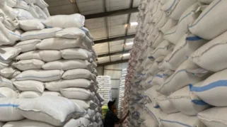 Tambah Gudang Penyimpanan, Serapan Gabah di Tulungagung Capai 57 Ribu Ton